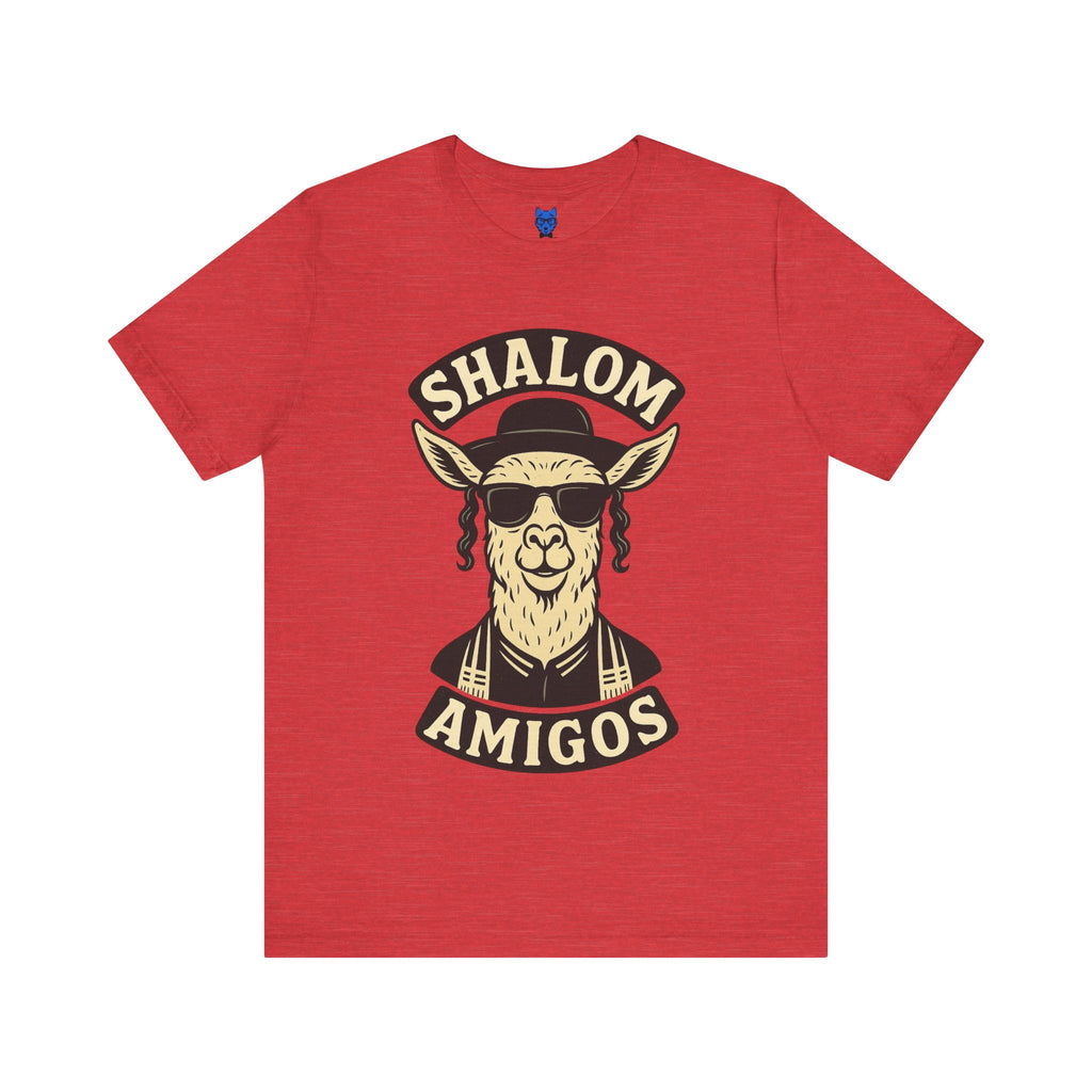 Shalom Amigos